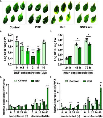 Diffusible signal factor primes plant immunity against Xanthomonas campestris pv. campestris (Xcc) via JA signaling in Arabidopsis and Brassica oleracea